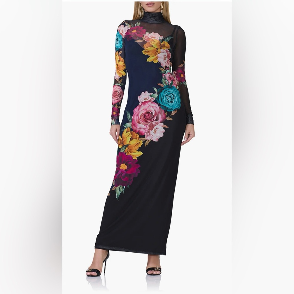 Billie Floral Print Long Sleeve Mesh Maxi Dress